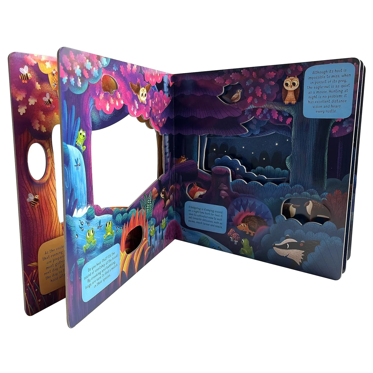 Fox Chapel Publishing Discovering the Hidden World of Nature at Night Board Book page preview 1