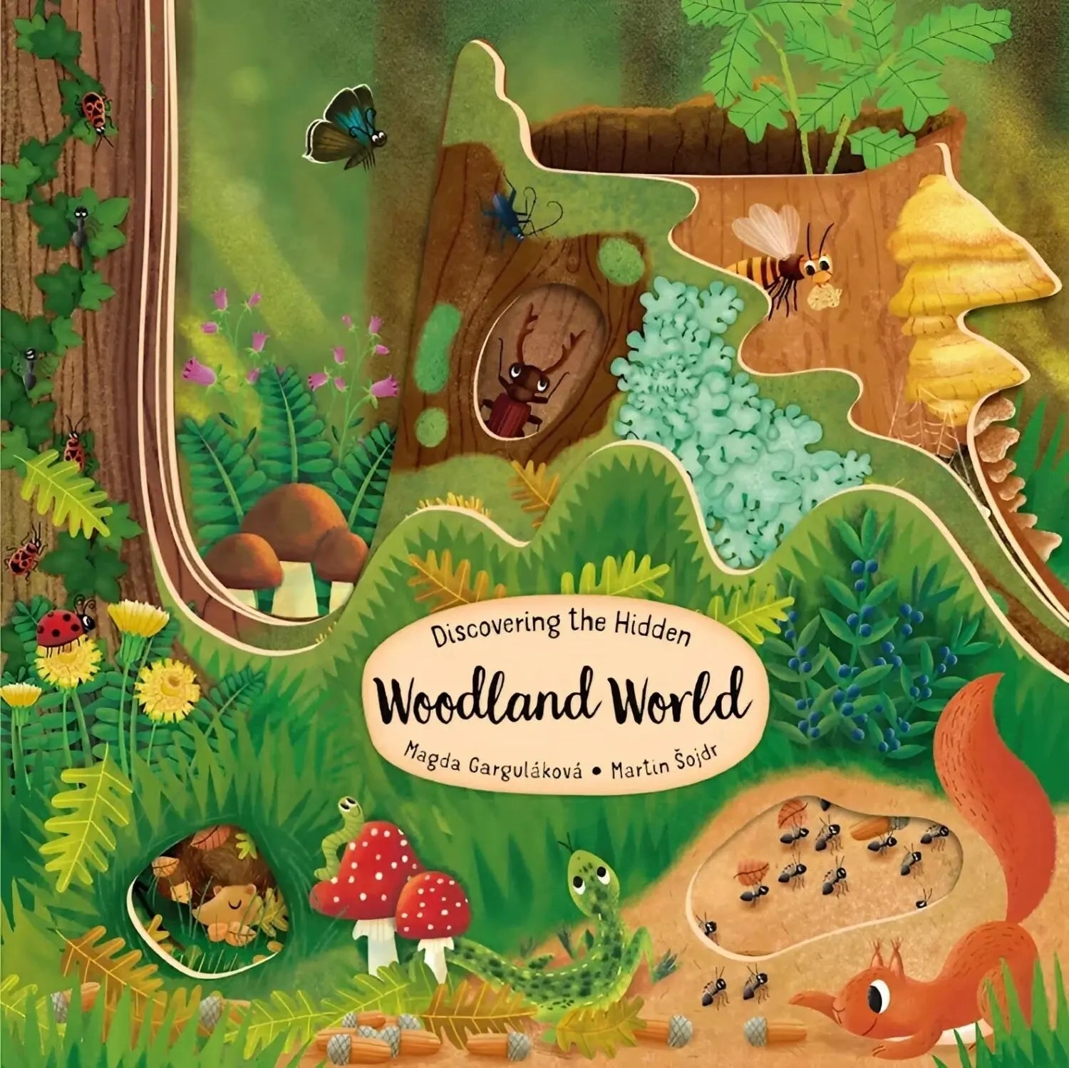 Fox Chapel Publishing Discovering the Hidden Woodland World Board Book cover