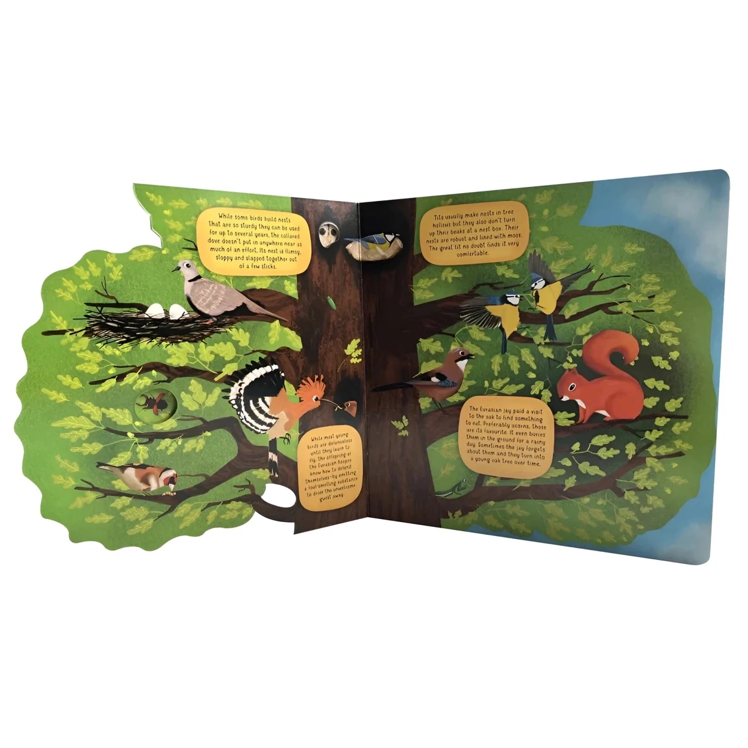 Fox Chapel Publishing Discovering the World of Bird Nests Board Book, page preview 1