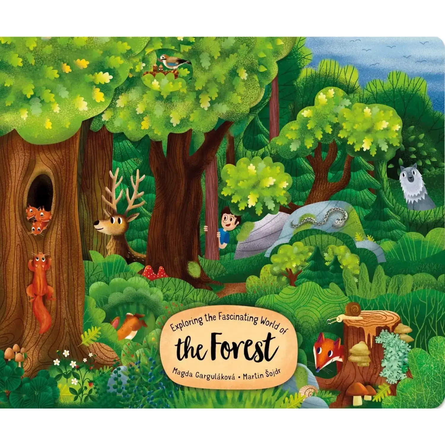 Fox Chapel Publishing Exploring the Fascinating World of the Forest Board Book cover