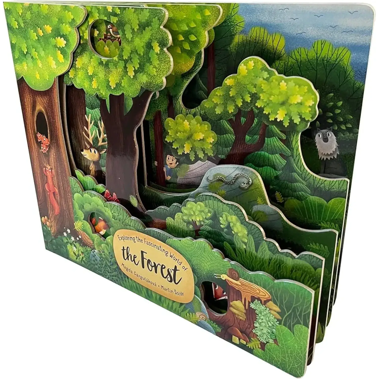 Fox Chapel Publishing Exploring the Fascinating World of the Forest Board Book standing, pages detail