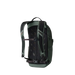 Gregory Packs Nano 18L in Terrain Green, back view 