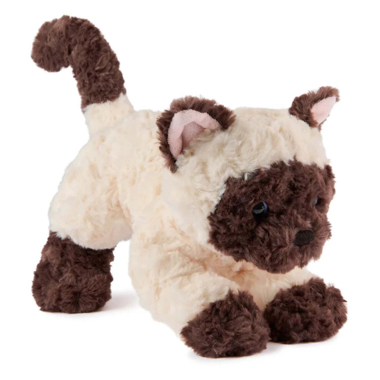 GUND Bootsie Siamese Kitten 9" front view