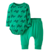 Hanna Andersson Baby Long Sleeve Wiggle Set in turtles on green, front view