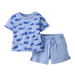 Hanna Andersson Baby Tee & Short Set in whales on light blue, front view
