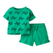 Hanna Andersson Baby Tee & Short Set in turtles on green, front view