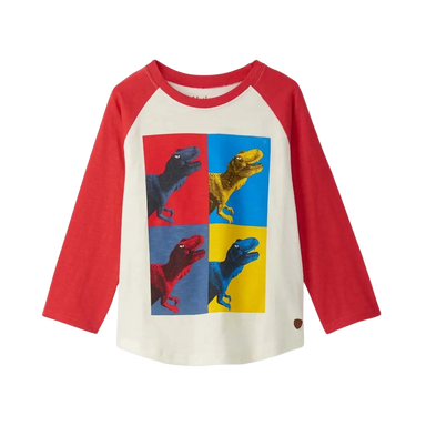 Hatley Boy's Dinos Cubed Long Sleeve Raglan T-Shirt, front view