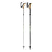 Two ski poles with black and orange design on a white background
