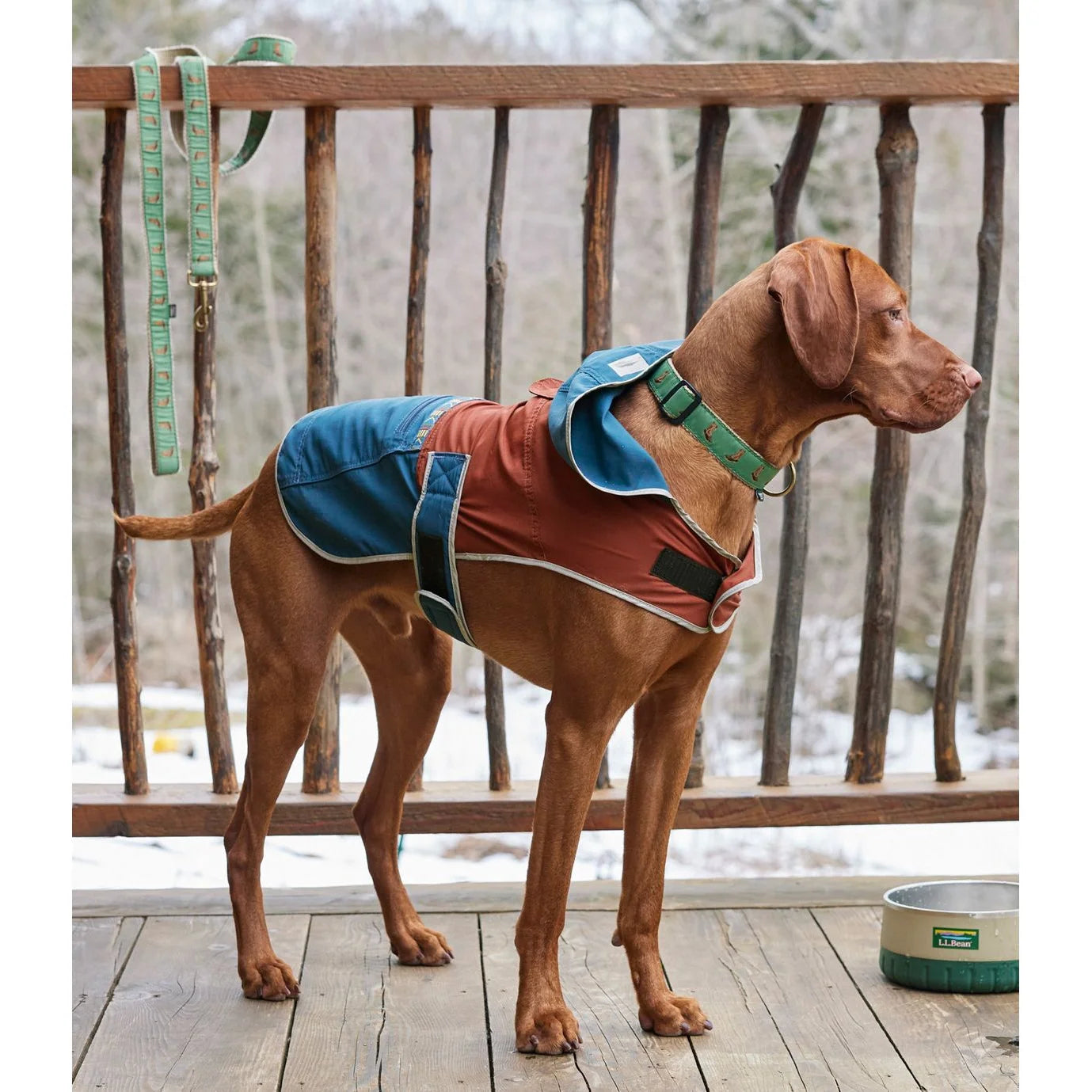 ll bean mountain classic dog anorak jacket mid size dog model view