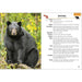 Stan Tekiela’s Mammals of Michigan Field Guide, 2nd Ed. by Stan Tekiela, black bear page