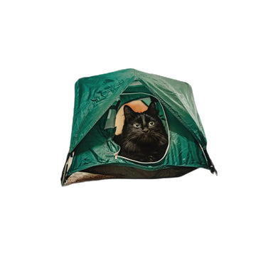 Matador Tiny Tent with cat model in green tent.