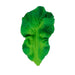 Oli & Carol Fruit & Veggie Baby Teether Toy - Kendall the Kale. Shades of green kale leaf teether.