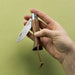 Opinel Néo6 Everyday Carry Folding Knife in black walnut, folded in hand