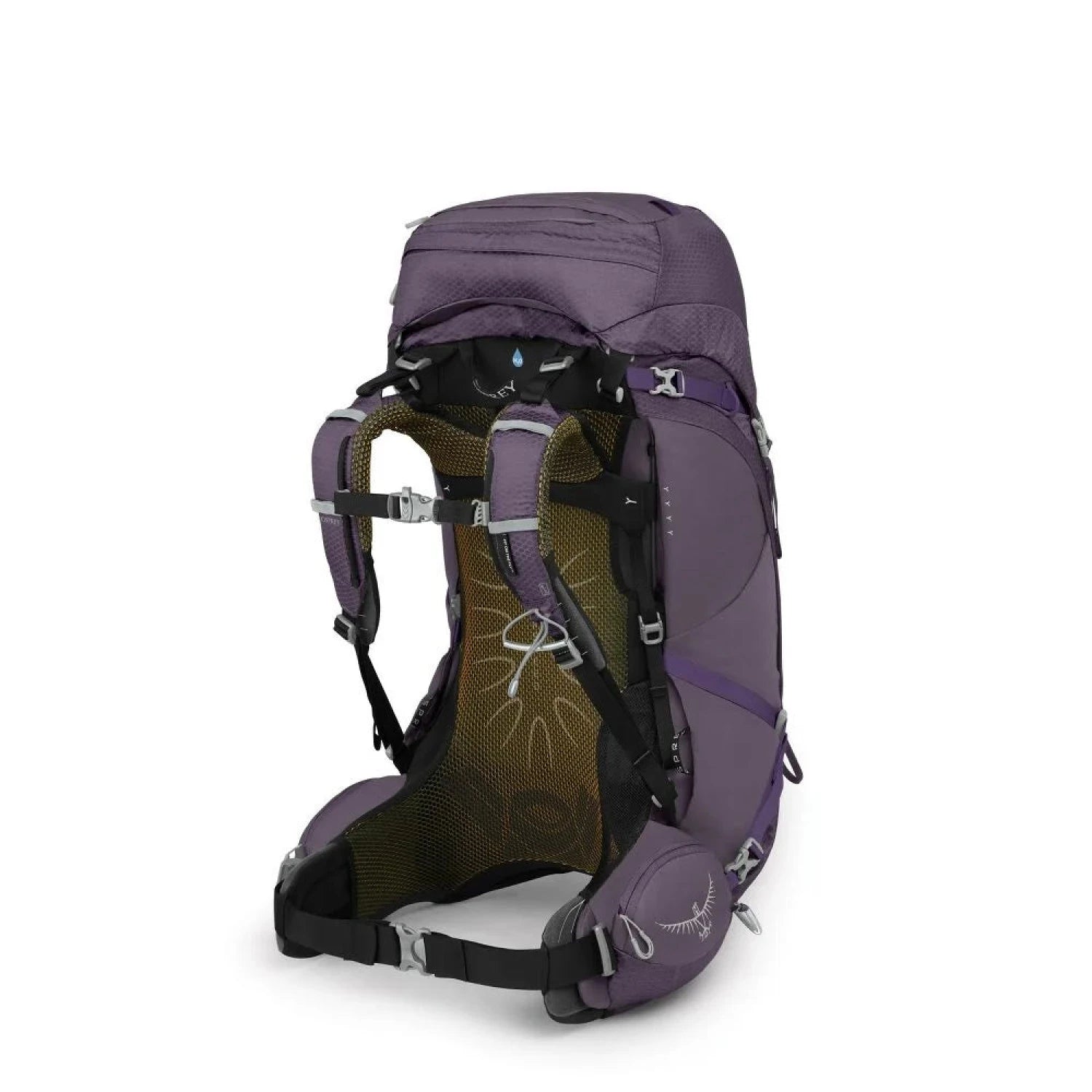 Osprey Aura AG 50L Hiking Backpack in enchantment purple, back view