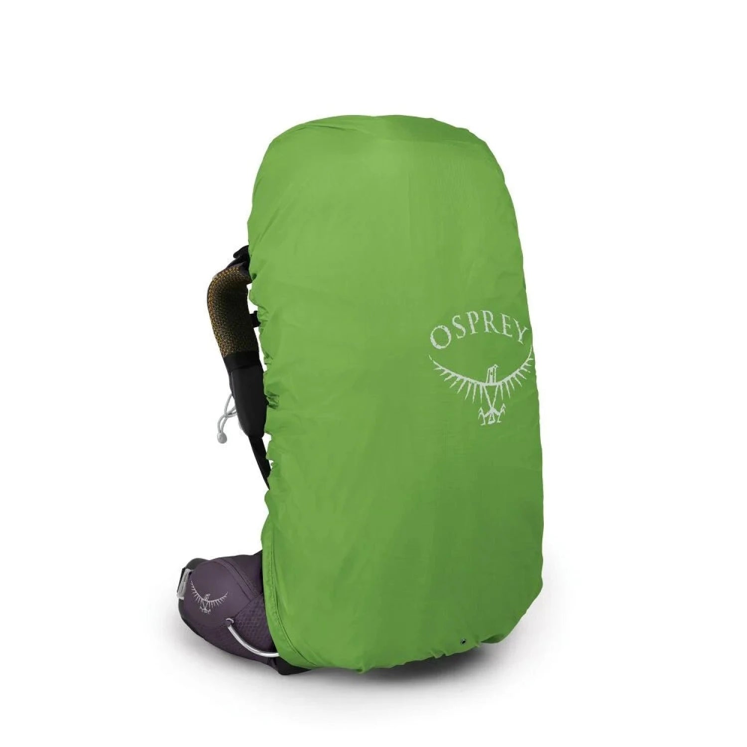 Backpack Osprey Aura AG 50 (Enchantment Purple) Women's