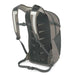Osprey Daylite Plus 20L in mystery white multi, back view