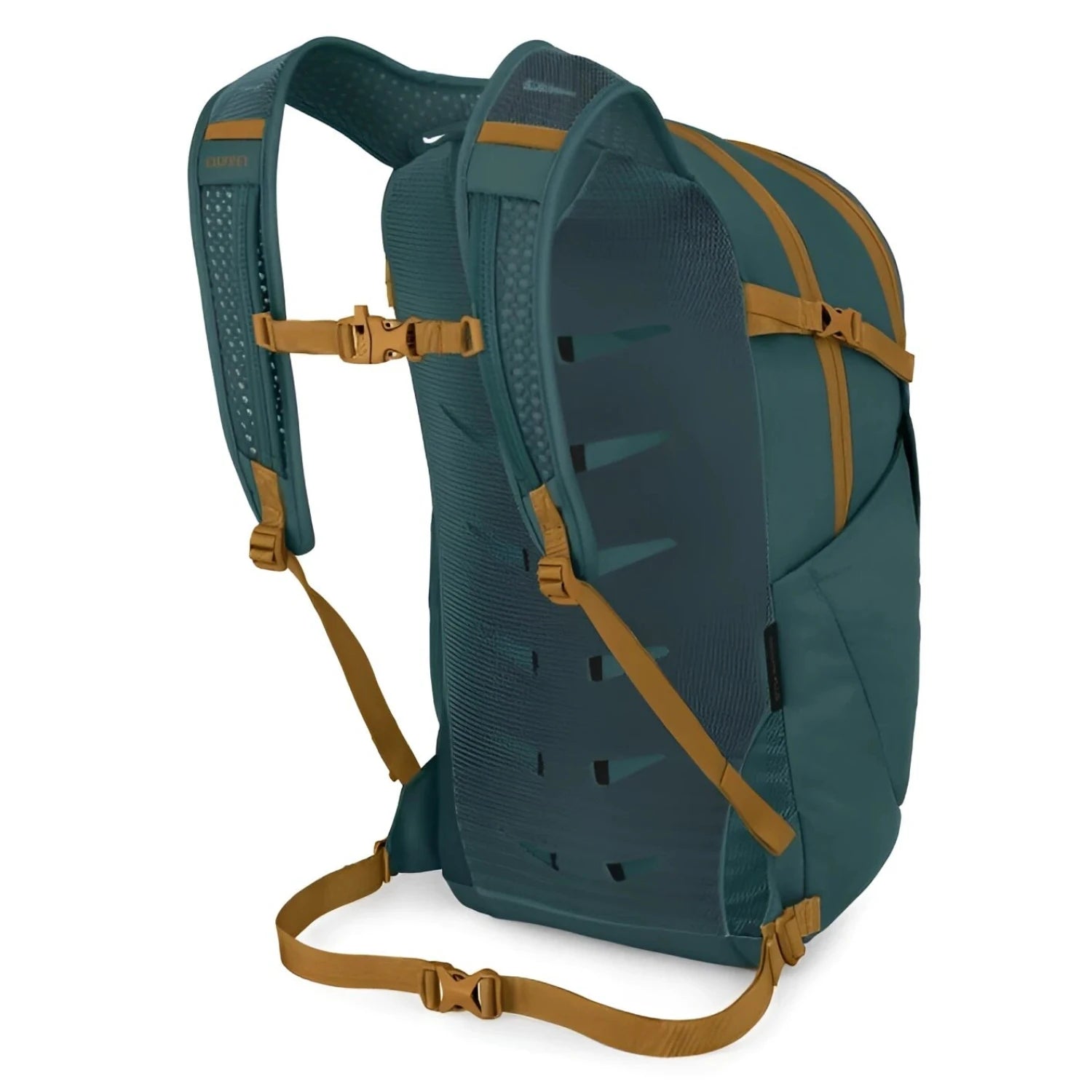 Osprey Daylite Plus 20L in torrent blue, back view