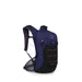 Osprey Raven LT 12 Bike Hydration Pack in Deep Fig Black, front and side view