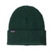 Patagonia Fisherman's Rolled Beanie in Cascade Green, front view flat 