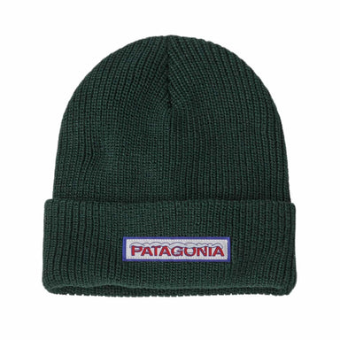 Patagonia Kid's Logo Beanie, Chill Conifer Green, front view flat