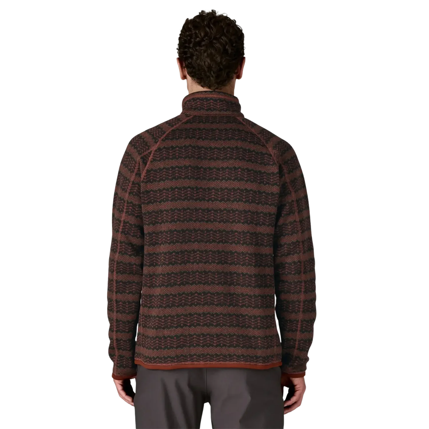 Patagonia Men's Better Sweater® 1/4-Zip Fleece in Woven Dried Vanilla, back view on model 