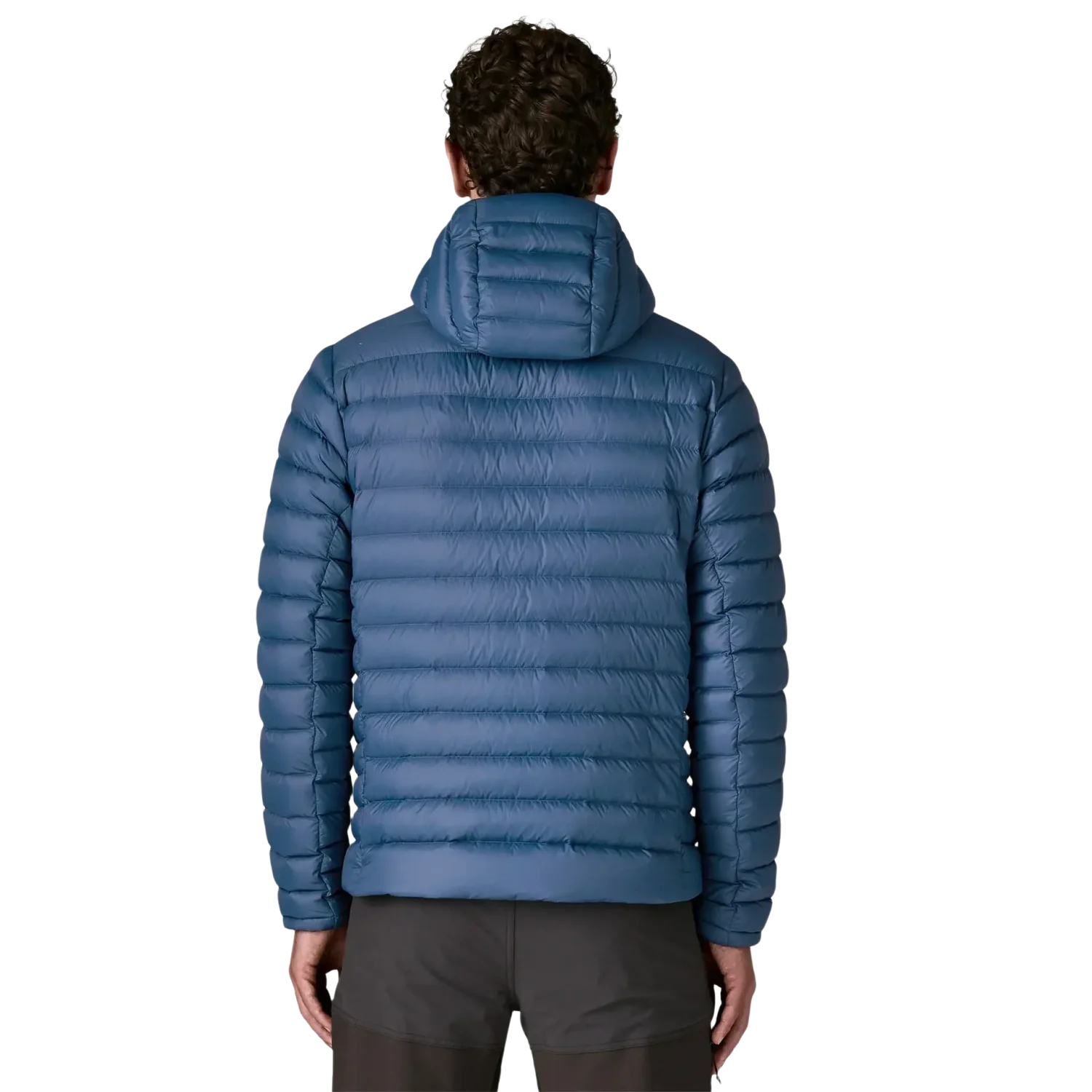 Patagonia Men's Down Sweater Hoody in Clement Blue, back view on model 