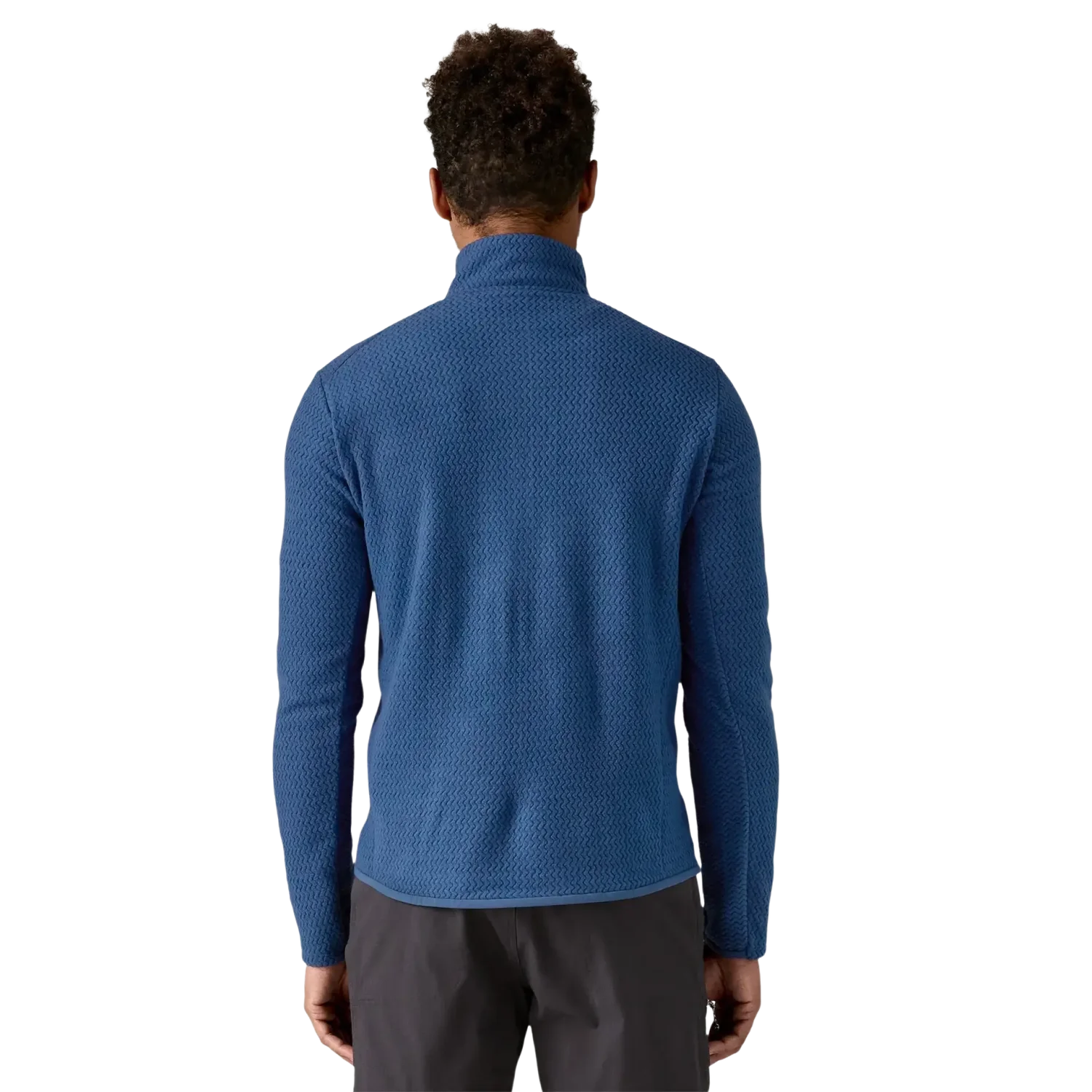 Patagonia Men's R1® Air Fleece Zip-Neck in Clement Blue, back view on model 