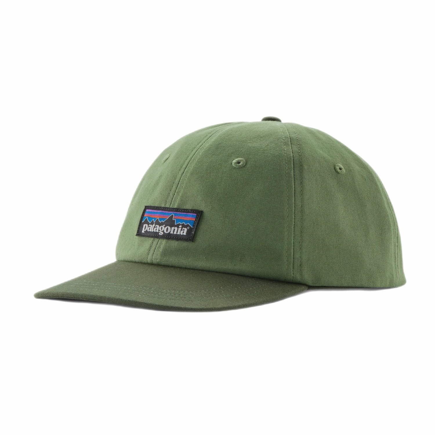 Patagonia P-6 Label Trad Cap, Terrain Green, front view