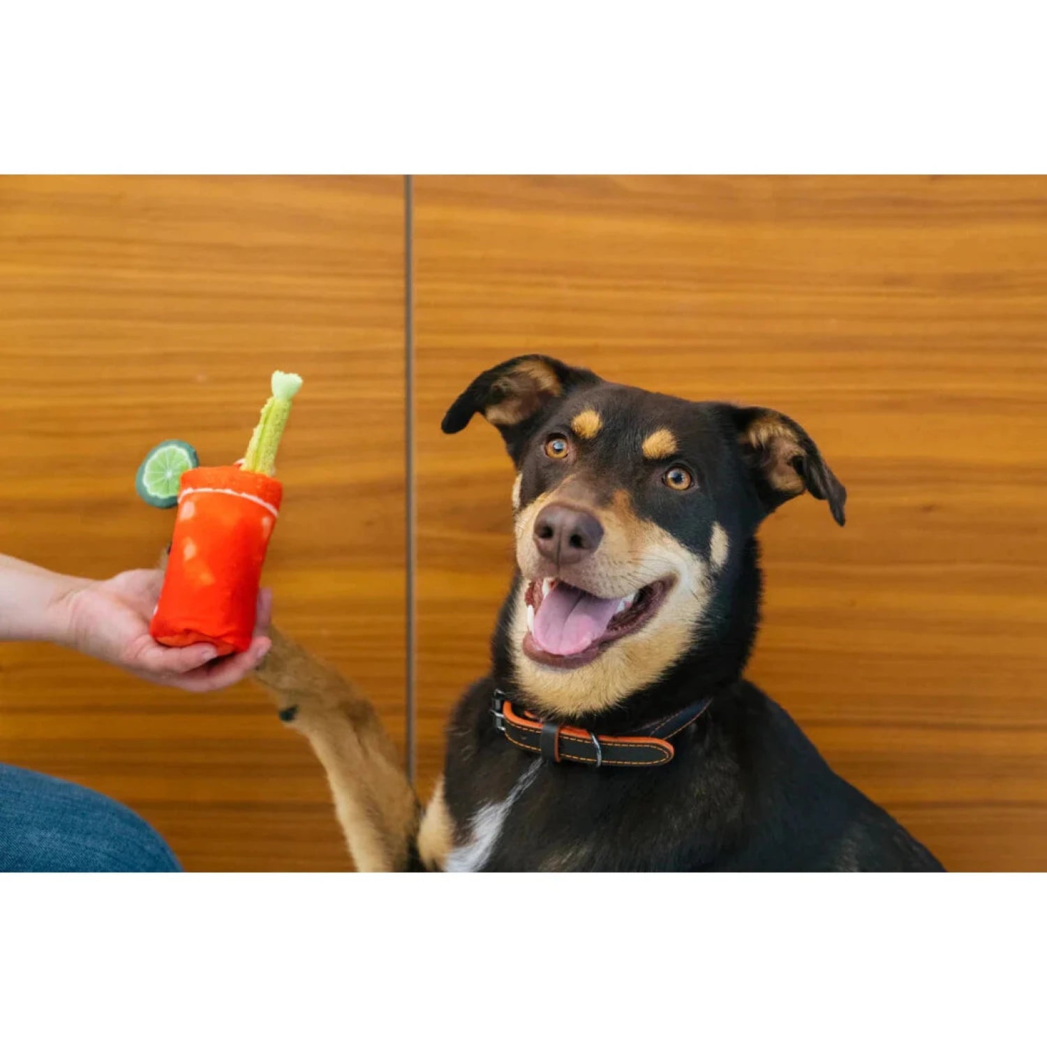 Barking Brunch Buddy Mary โ Bearcub Outfitters