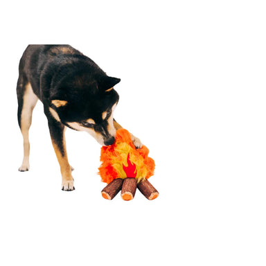 P.L.A.Y. Camp Corbin Cozy Campfire, view of dog playing with toy 