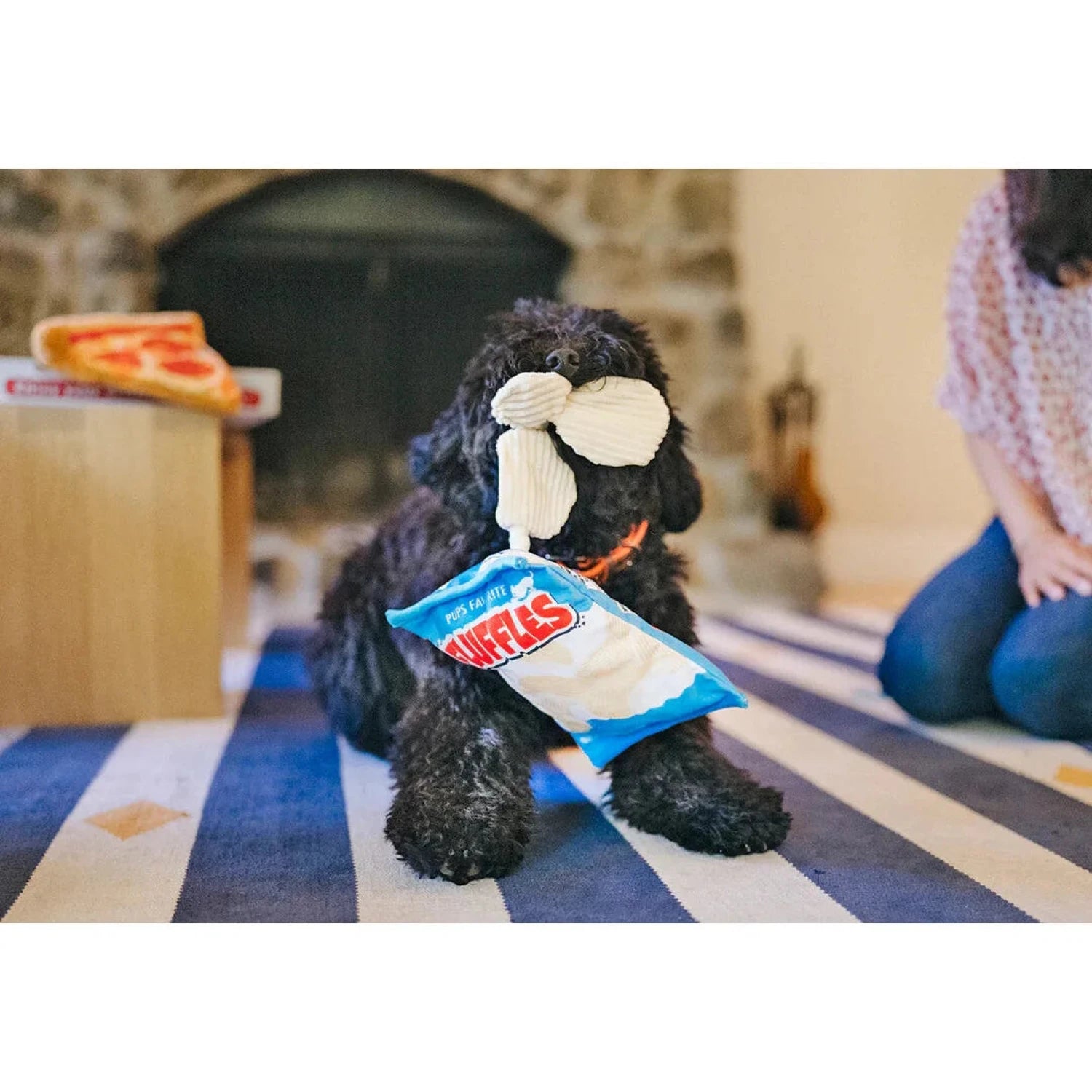 P.L.A.Y. Snack Attack Fluffles Chips, view of dog playing with toy