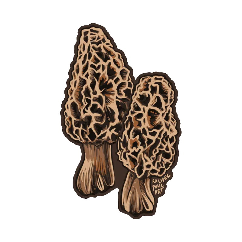 NoSo Gear Repair Patch in morel mushroom