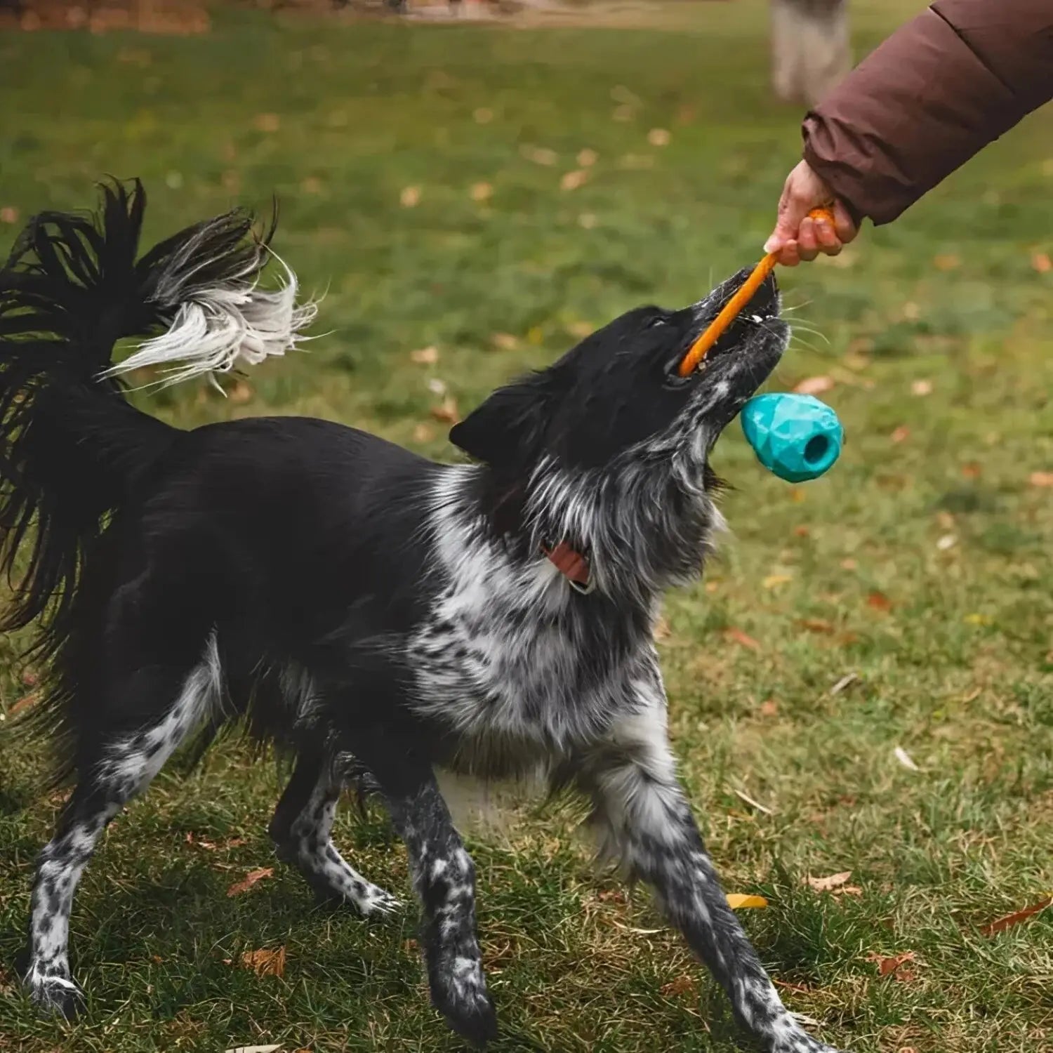 Huck-a-Cone™ Interactive Toy