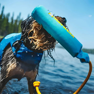 Ruffwear Lunker™ Floating Throw Toy in blue, lifestyle dog playing