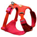 Ruffwear Front Range® Flex Harness in rose violet, front angled view