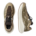 Salomon Men's Aero Glide 4 GRVL Running Shoes in safari, vanilla ice & dark earth, top view