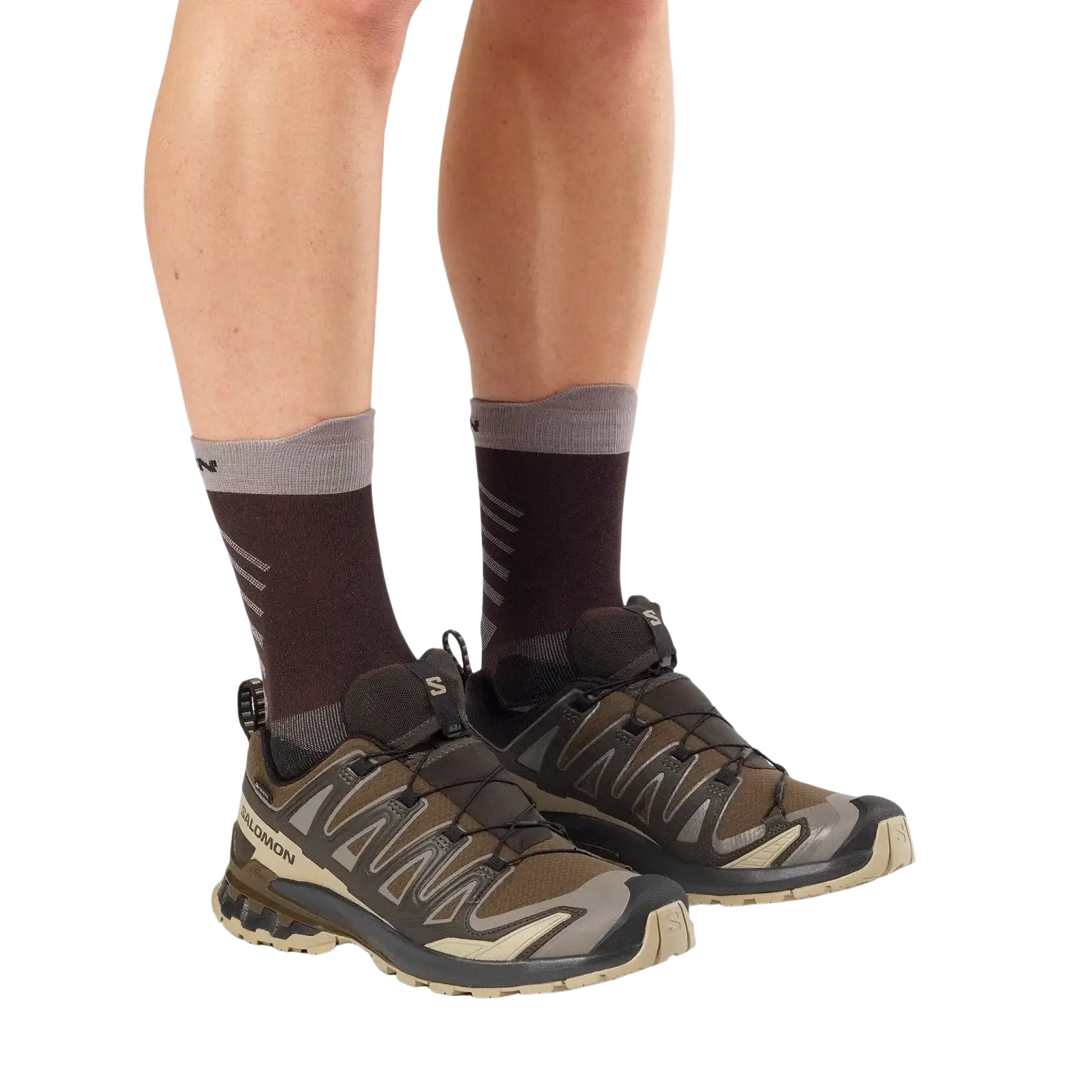 Salomon Men's XA Pro 3D V9 Gore-Tex Running Shoes in dark earth & desert tan, on model view