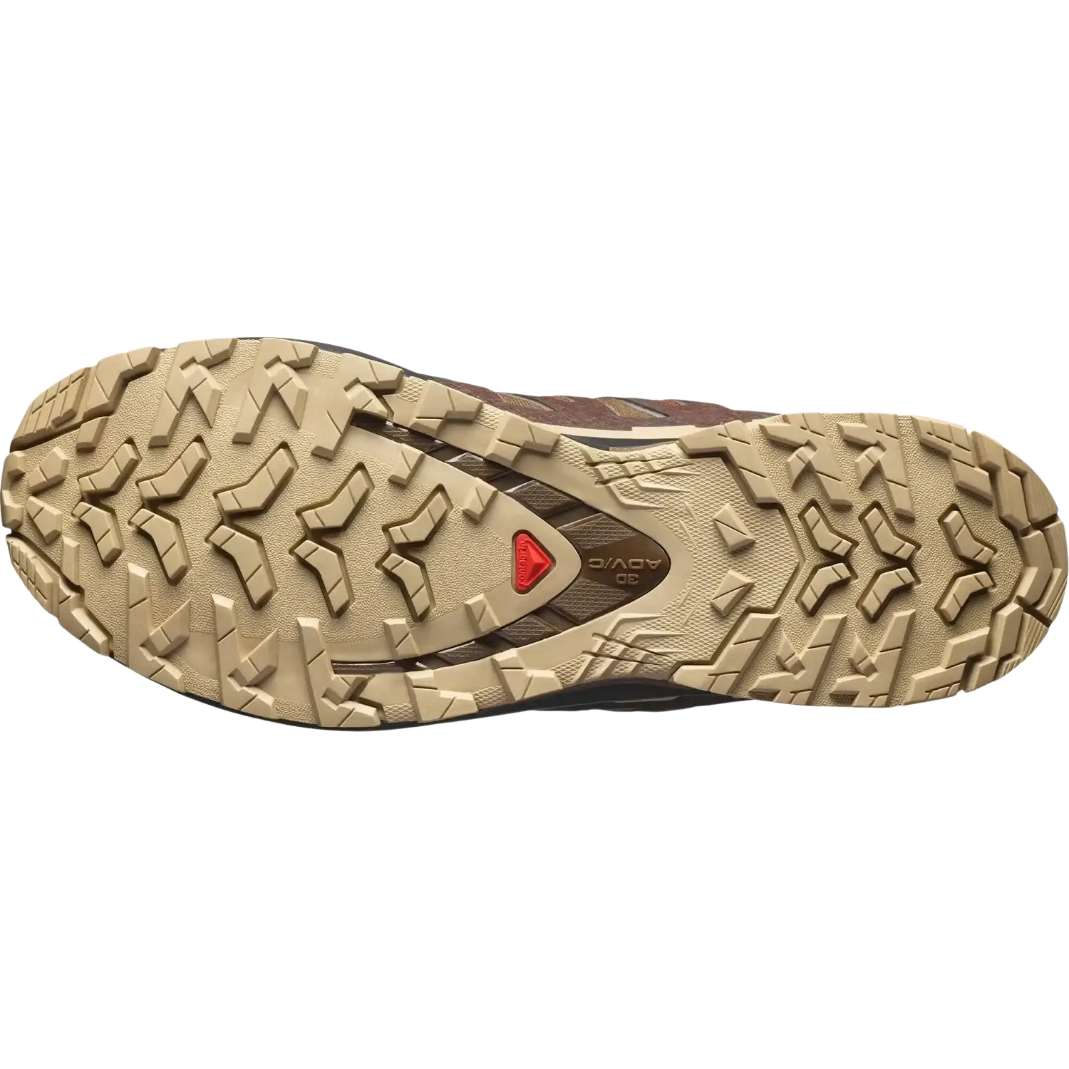 Salomon Men's XA Pro 3D V9 Gore-Tex Running Shoes in dark earth & desert tan, sole view