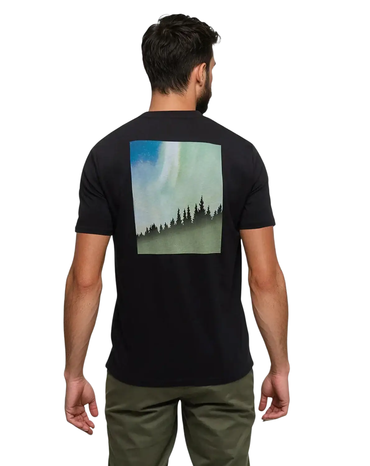 Tentree Men's Northern Aurora T-Shirt, back model view