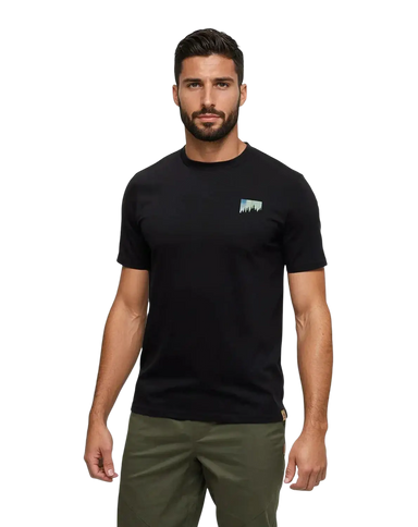 Tentree Men's Northern Aurora T-Shirt, front model view