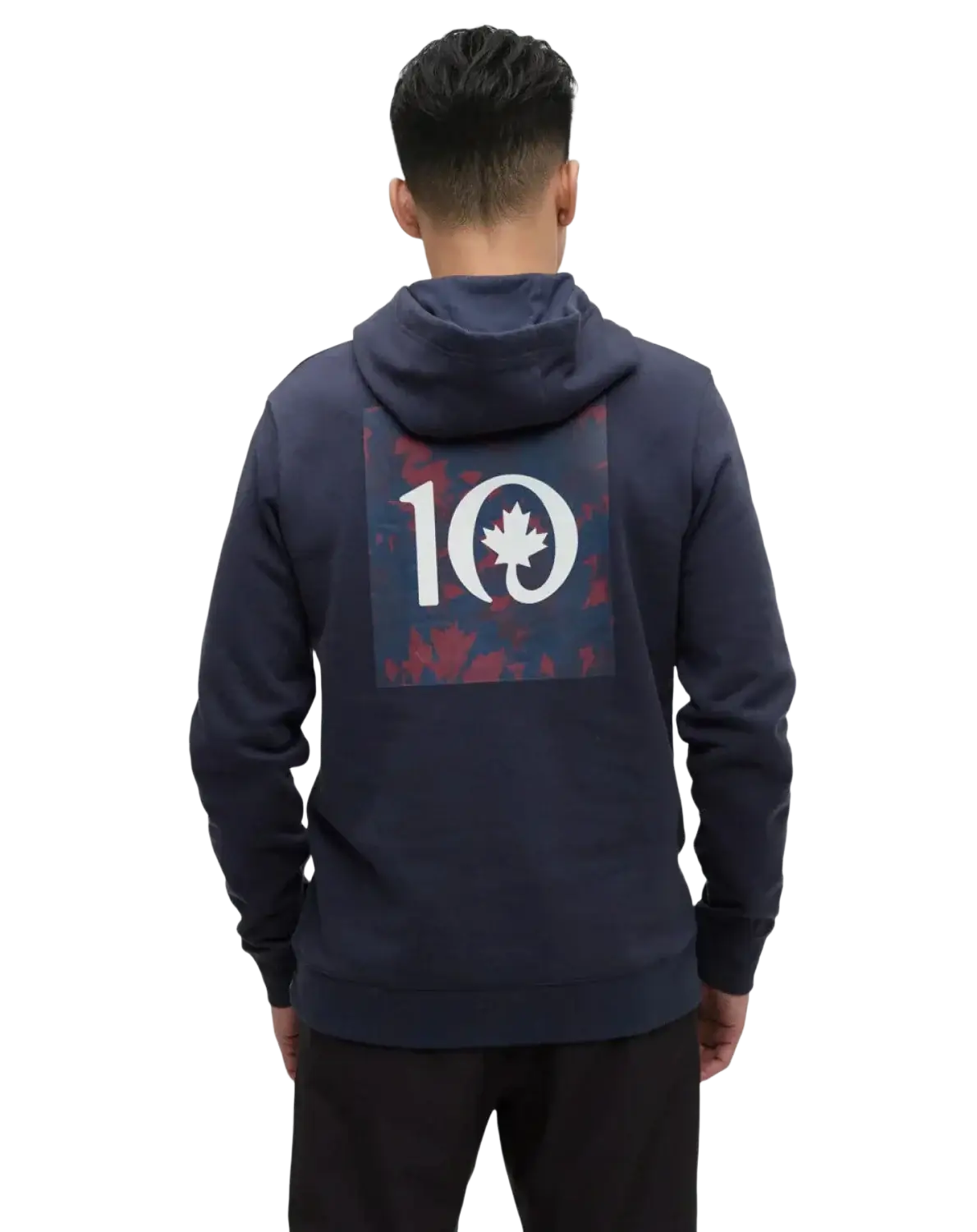 Tentree Men's Maple Hoodie, back view
