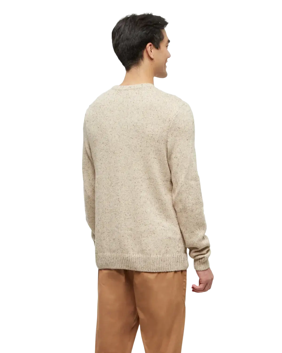 Tentree Men's Rambler Sweater, back view