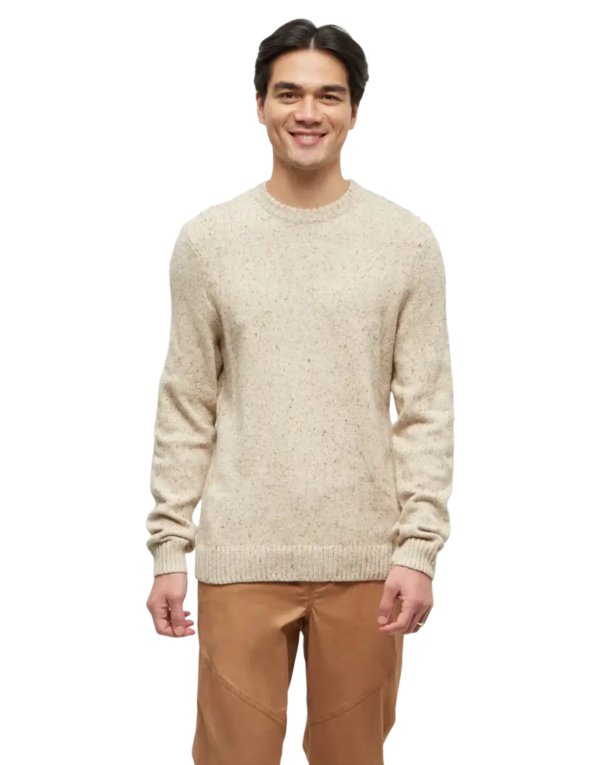 Tentree Men's Rambler Sweater, front view