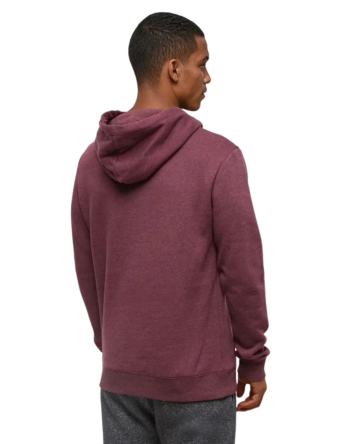 Tentree Men's Sasquatch Hoodie, Burgundy football back view