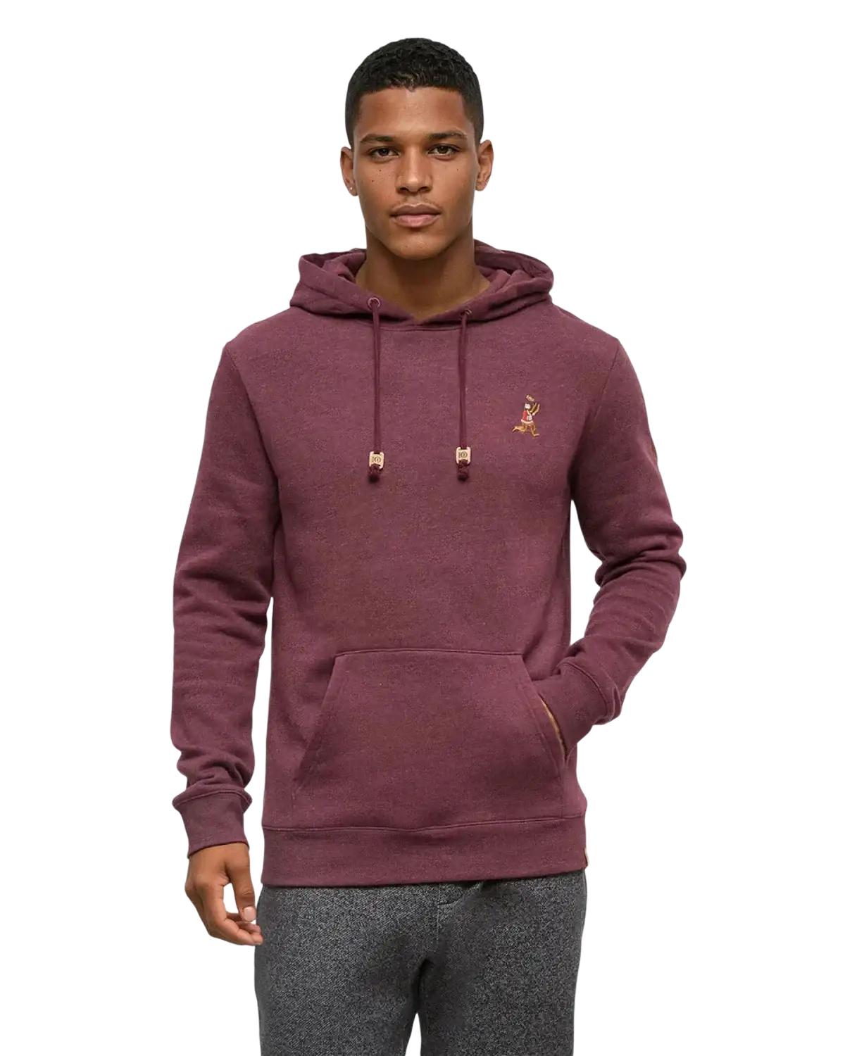 Tentree Men's Sasquatch Hoodie, Burgundy football front view
