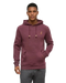 Tentree Men's Sasquatch Hoodie, Burgundy football front view