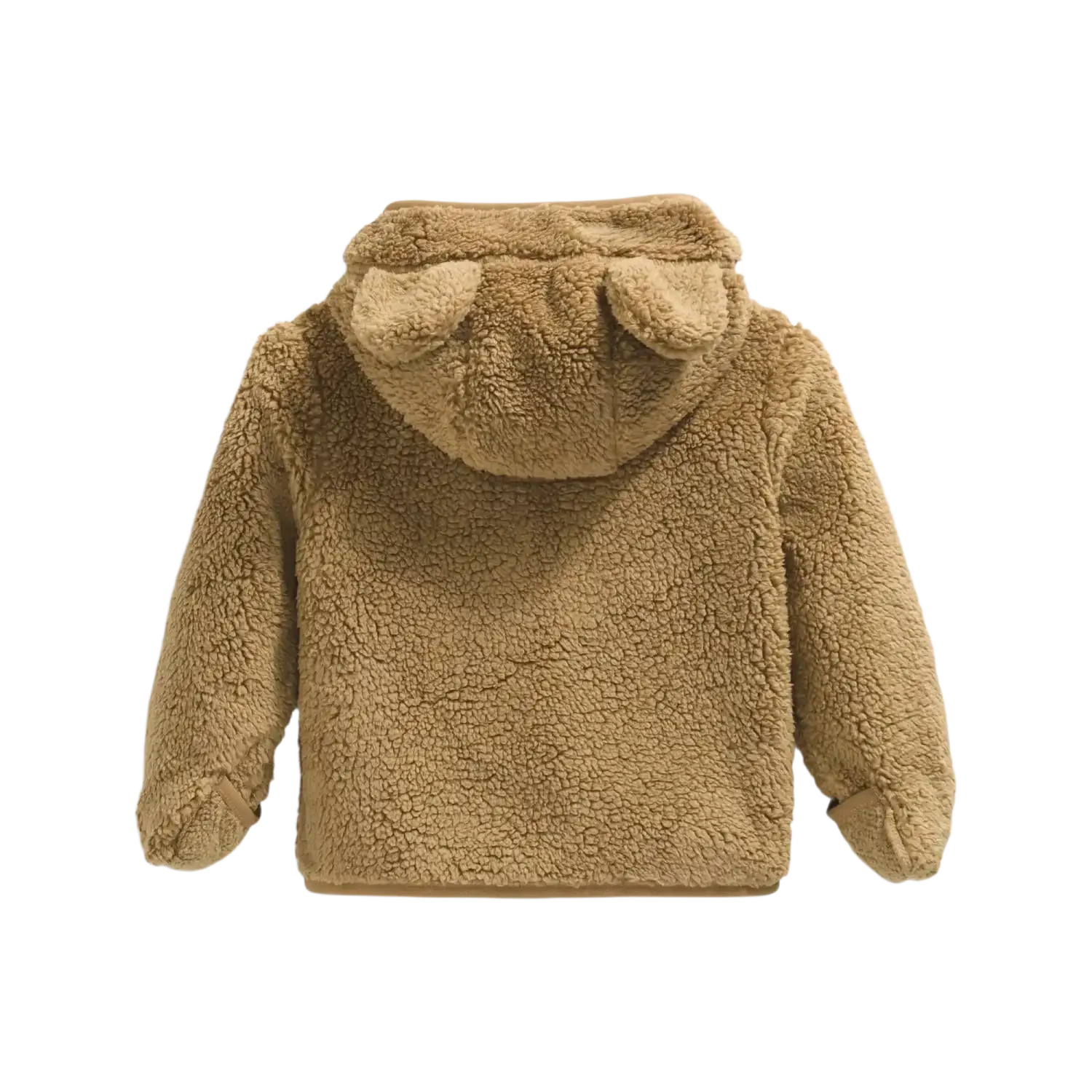 The North Face Baby Campshire Full-Zip Hoodie in Teddy Brown, back view flat
