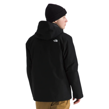 The North Face Men's Carto Mono Triclimate® Hooded Jacket in TNF Black, back view on model