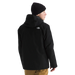 The North Face Men's Carto Mono Triclimate® Hooded Jacket in TNF Black, back view on model