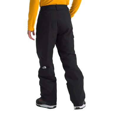The North Face Men's Freedom Insulated Pants in TNF Black, back view on model 